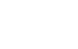 blucher