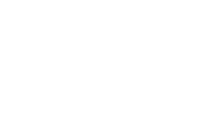 hirschvogel