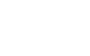 nissens