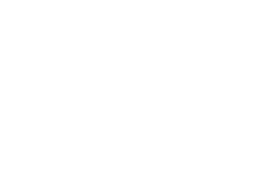 velux